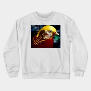 Pheasant Crewneck Sweatshirt